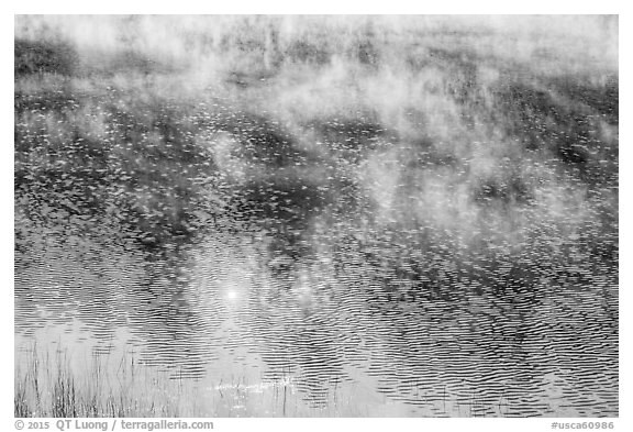 Ripples and mist rising, Jenkinson Lake. California, USA (black and white)
