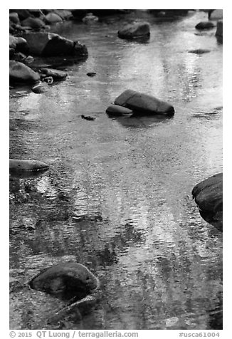Boulders and green foliage reflection in river. California, USA (black and white)