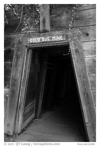 Entrance of historic Gold Bug Mine, Placerville. California, USA (black and white)