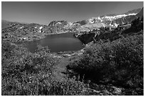 Wildflowers, stream, and lake, Twenty Lakes Basin, Inyo National Forest. California, USA ( black and white)