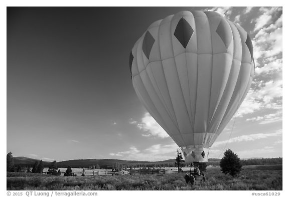 Hot air balloon carried after landing, Tahoe National Forest. California, USA (black and white)