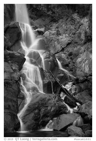 Grizzly Falls in autumn, Sequoia National Forest. Giant Sequoia National Monument, Sequoia National Forest, California, USA (black and white)