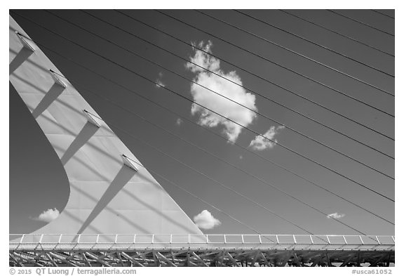 Cantilever spar cable-stayed Sundial Bridge, Redding. California, USA (black and white)