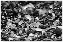 Seaglass detail. Fort Bragg, California, USA ( black and white)