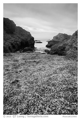 Rocky beach cove filled with seaglass. Fort Bragg, California, USA (black and white)