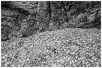 Beach seaglass and rock. Fort Bragg, California, USA ( black and white)