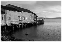 Wharf in late afternoon, Bodega Bay. Sonoma Coast, California, USA ( black and white)