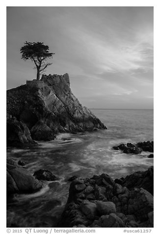 Lone Cypress and cloud painted by sunset. Pebble Beach, California, USA (black and white)