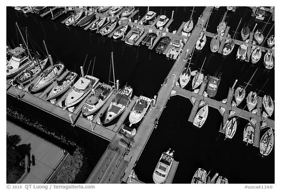 Aerial view of yachts in harbor. Monterey, California, USA (black and white)