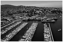 Aerial view of harbor. Monterey, California, USA ( black and white)