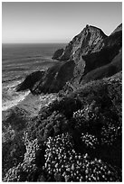 Devils slide with wildflowers, late afternoon. San Mateo County, California, USA ( black and white)