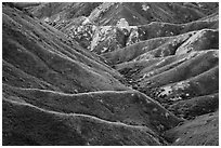 Ridges in springtime. Carrizo Plain National Monument, California, USA ( black and white)