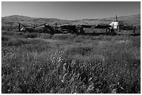 Abandonned agricultural machinery, Traver Ranch. Carrizo Plain National Monument, California, USA ( black and white)
