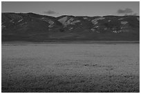 Wildflowers form solid yellow carpet below Caliente Range hills. Carrizo Plain National Monument, California, USA ( black and white)