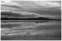 Soda Lake. Carrizo Plain National Monument, California, USA ( black and white)