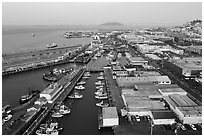 Aerial view of Fishermans Wharf fishering harbor. San Francisco, California, USA ( black and white)