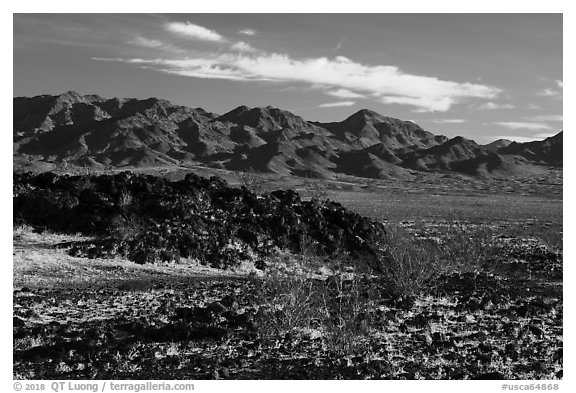 Lava field and mountains. Mojave Trails National Monument, California, USA (black and white)