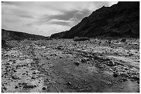 Ankle deep Mojave River runs above the surface in Afton Canyon. Mojave Trails National Monument, California, USA ( black and white)