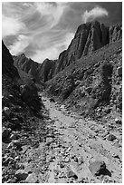 Wash in narrow side canyon, Afton Canyon. Mojave Trails National Monument, California, USA ( black and white)