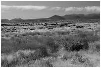 Grasslands and volcanic buttes. Lava Beds National Monument, California, USA ( black and white)