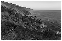 Blooms and costline from Partington Point at sunset. Big Sur, California, USA ( black and white)