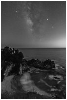 McWay Cove at twilight with Milky Way, Julia Pfeiffer Burns State Park. Big Sur, California, USA ( black and white)