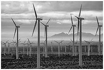 Wind turbines above Coachella Valley at sunrise. California, USA ( black and white)