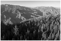 Aerial view of Converse Basin with Boole Tree and Kings Canyon. Giant Sequoia National Monument, Sequoia National Forest, California, USA ( black and white)