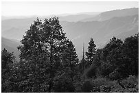 Hazy ridges from Converse Basin. Giant Sequoia National Monument, Sequoia National Forest, California, USA ( black and white)