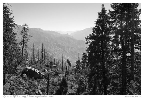 View over Kings Canyon from Converse Basin. Giant Sequoia National Monument, Sequoia National Forest, California, USA (black and white)