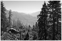 View over Kings Canyon from Converse Basin. Giant Sequoia National Monument, Sequoia National Forest, California, USA ( black and white)