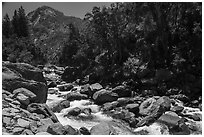 Canyon of the South Fork Kings River. Giant Sequoia National Monument, Sequoia National Forest, California, USA ( black and white)