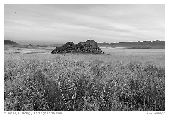 Grasses and Painted Rock at dawn. Carrizo Plain National Monument, California, USA (black and white)
