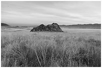 Grasses and Painted Rock at dawn. Carrizo Plain National Monument, California, USA ( black and white)