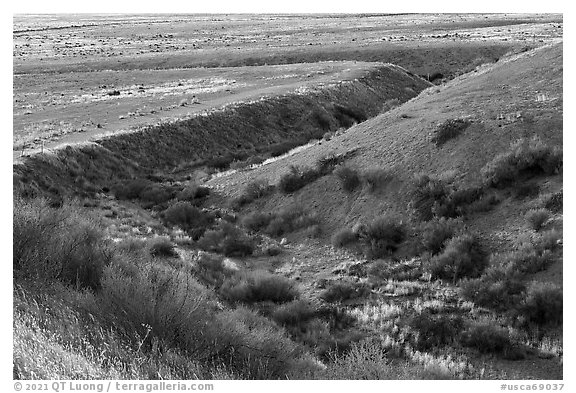 Bend at Wallace Creek with channel offset. Carrizo Plain National Monument, California, USA (black and white)