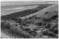 Bend at Wallace Creek with channel offset. Carrizo Plain National Monument, California, USA ( black and white)