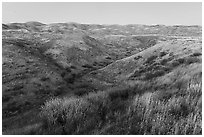 Wallace Creek and Temblor Range. Carrizo Plain National Monument, California, USA ( black and white)