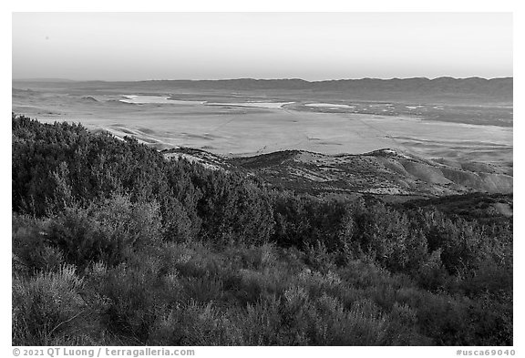 Shurbs and juniper on Caliente Ridge above plain. Carrizo Plain National Monument, California, USA (black and white)