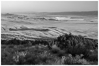 Carrizo Plain seen from Caliente Ridge. Carrizo Plain National Monument, California, USA ( black and white)