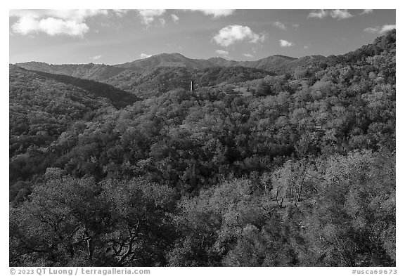 Hillsides in spring with Almaden Quicksilver Chimney, Almaden Quicksilver County Park. San Jose, California, USA (black and white)