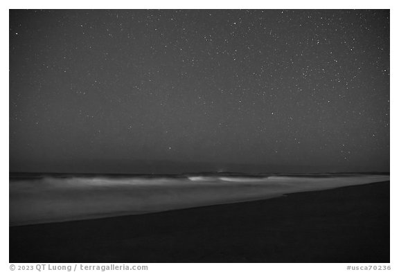 Bioluminescence in surf. Point Reyes National Seashore, California, USA (black and white)