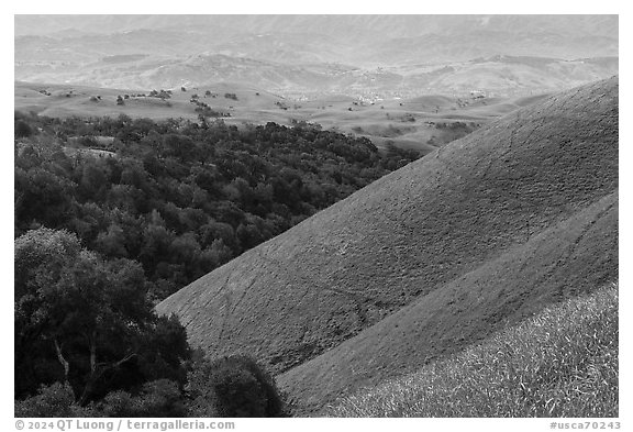 Evergreen hills in the spring. San Jose, California, USA (black and white)