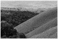 Evergreen hills in the spring. San Jose, California, USA ( black and white)