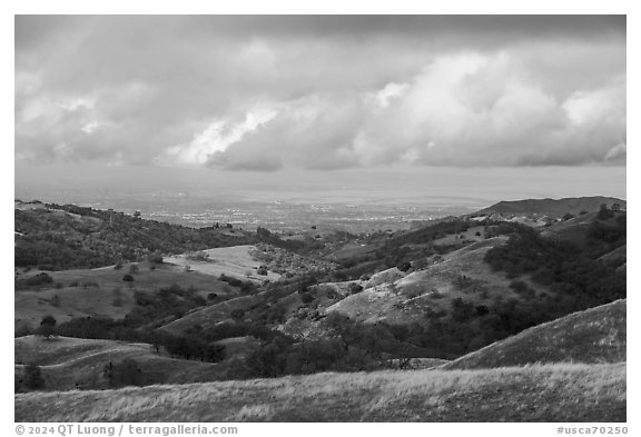 Oak-covered hills with San Francisco Bay in the distance, Joseph Grant County Park. San Jose, California, USA (black and white)
