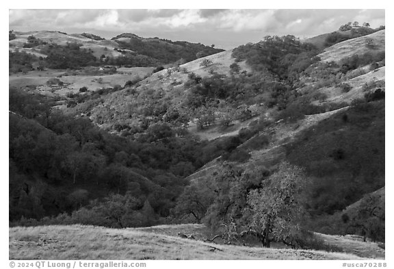 Hills in autumn, Joseph Grant County Park. San Jose, California, USA (black and white)
