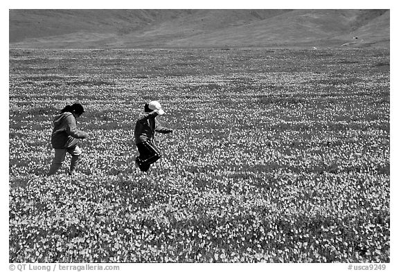 Children playing in a field of Poppies. Antelope Valley, California, USA (black and white)