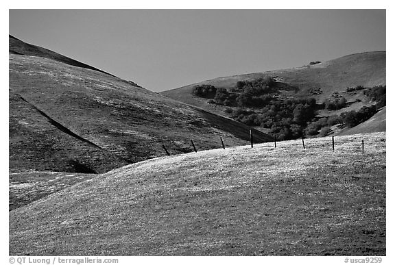 Gorman Hills in the spring. California, USA (black and white)