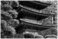 Pagoda, Japanese Garden, Golden Gate Park. San Francisco, California, USA (black and white)