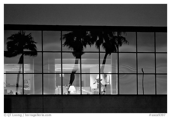 Palm Trees reflected in large bay windows at sunset. San Francisco, California, USA (black and white)