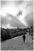 Summit trail after a snow-storm, Mt Diablo State Park. California, USA (black and white)